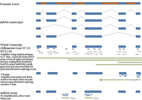 Affymetrix Microarray | Molecular Resource Center | Institutional Cores ...