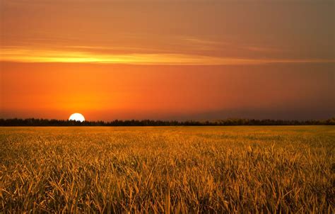 Sunset Field Wallpapers - Wallpaper Cave