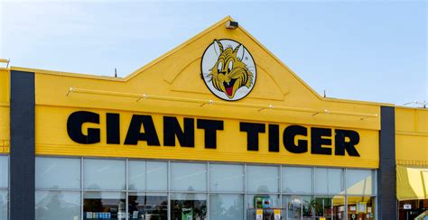 Giant Tiger plans to increase presence with 300 stores across Canada | News