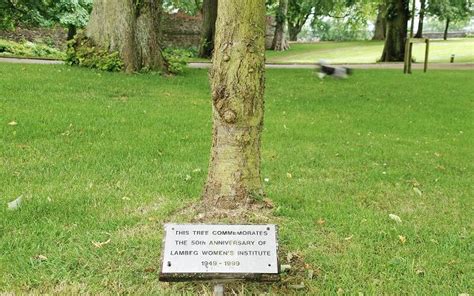 Memorial Plaques for Trees - Memorial Plaques | Memorial Plaques