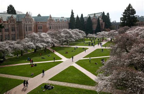 University of Washington could offer course in 'BS'