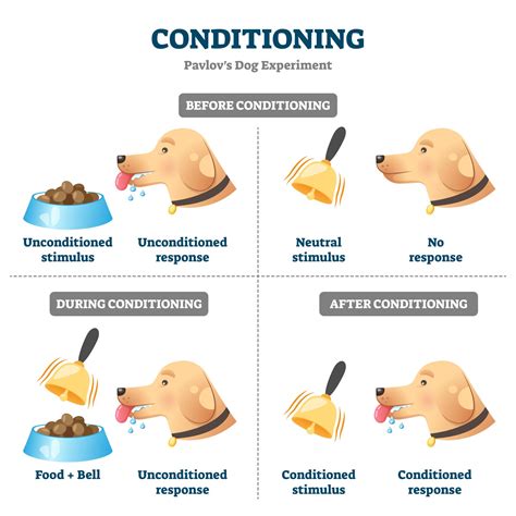 Classical Conditioning Examples