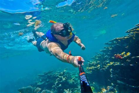 Florida Keys Snorkeling: 12 Best Places & Tours - Sunlight Living