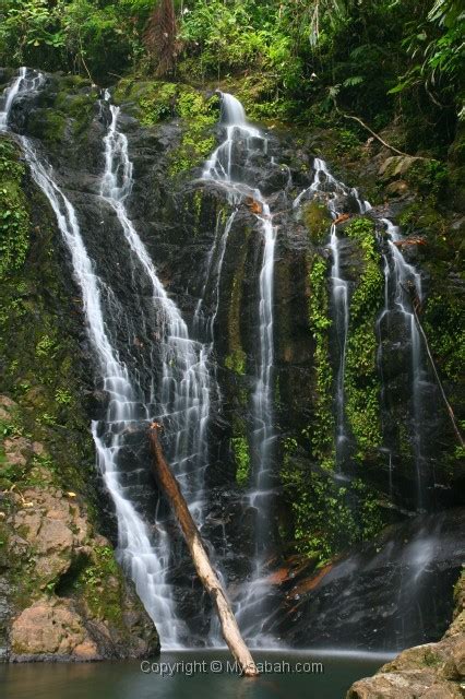 Tawau Hills Park, Sabah, Malaysia Borneo/tawau-hills-park-img_0105