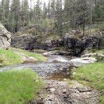 Blue Bell Campground Reviews - Campendium