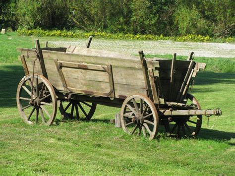 Free Images : farm, transport, amish, carriage, heritageparkcalgary, horseandcarriage, rural ...