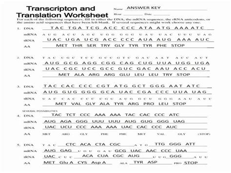 Dna Transcription And Translation Worksheet – Imsyaf.com