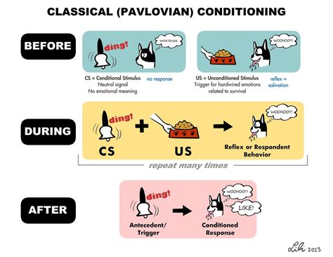 Classical Conditioning | The opposite happens with Boogie. W… | Flickr