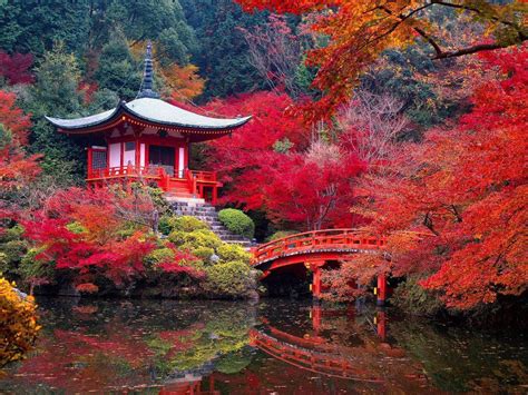 NIHIL SINE DEO!: Daigo-ji Temple in Autumn - Kyoto, Japan