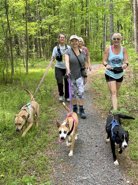 Tails and Trails: Montgomery County's Hiking Hope for Shelter Dogs - NC ...