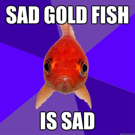 SAD GOLD FISH IS SAD - SAD GOLD FISH - quickmeme