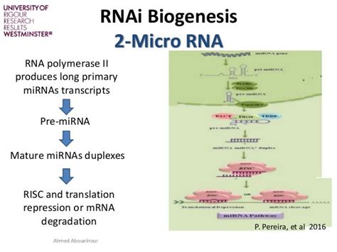 RNAi Therapy