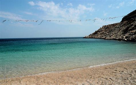 Chios Island Chios, The Visitors, Seagull, Greece, Gulls, Island ...