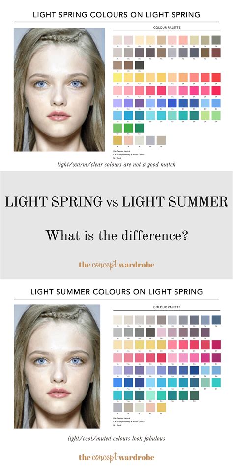 Light Spring vs Light Summer: What Is The Difference? | the concept ...