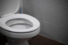 Toilet Seats Free Stock Photo - Public Domain Pictures