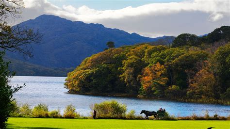 5 Great Walks in Killarney National Park with Discover Ireland