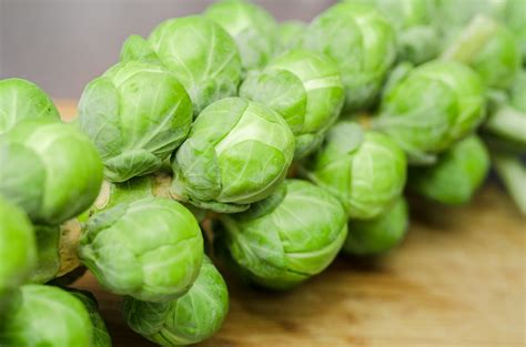 Brussels Sprouts: Planting, Growing, and Harvesting Brussels Sprouts ...