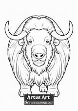 Musk ox Coloring Page sketch template