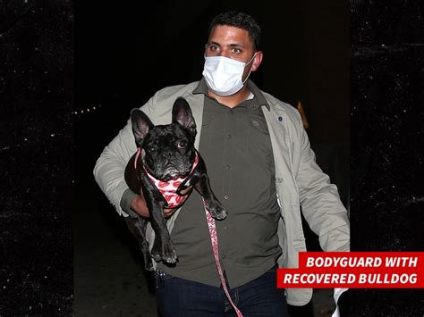 Lady Gaga Dog Walker Name / Lady Gaga S Dog Walker Shot French Bulldogs Stolen In Hollywood ...