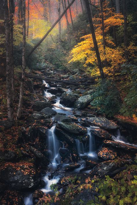 Falls in the Woodlands — Matthew Cooper Photography