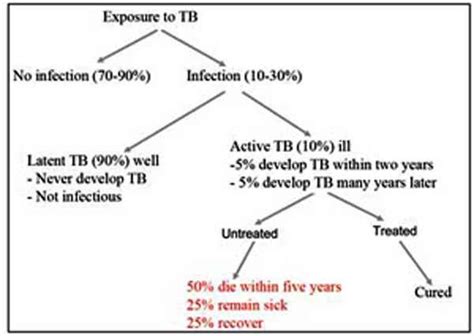 OLCreate: HEAT_CD_ET_1.0 Communicable Diseases Module: 13. Introduction ...