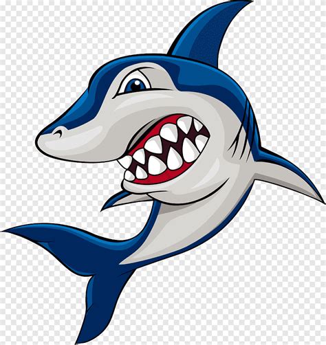 Shark Drawing Illustration, shark, marine Mammal, animals png | PNGEgg