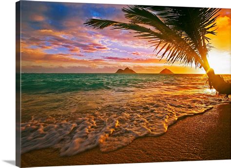 Hawaii, Oahu, Lanikai Beach At Sunrise Wall Art, Canvas Prints, Framed ...