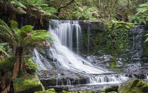 Russell Falls | Absolutely Australia