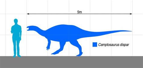 Camptosaurus | The Flexible Lizard of the Jurassic Era