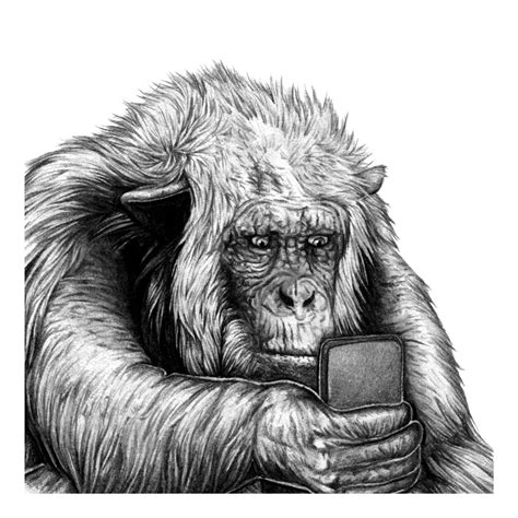 Animated gif pencil drawing of a miniature chimpanzee or bonobo money on iphone/phone scrolling ...