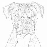 Boxer Coloring Pages To Print  Coloring Mimi Panda sketch template