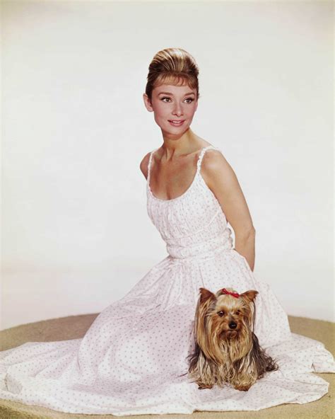 Audrey Hepburn - Classic Movies Photo (6558890) - Fanpop