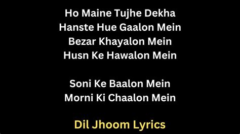 Dil Jhoom Lyrics | Vidyut Jammwal | Nora Fatehi | Vishal Mishra Amazing ...