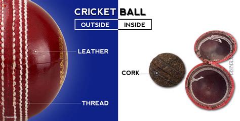 How to choose a Cricket ball