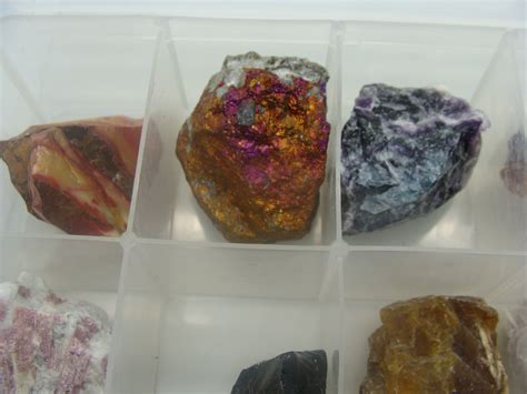 Premium Mineral and Rock Collection | Rock Collection Box