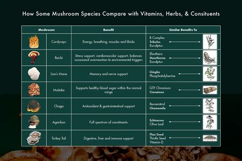 Learn About Mushrooms | Host Defense