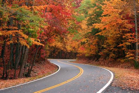 7 Eye-Catching Poconos Fall Foliage Scenic Drives | The Current