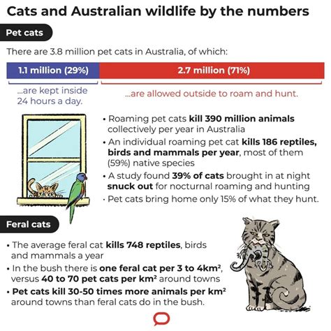 Lock up your pet cat, it's a killing machine - The University of Sydney