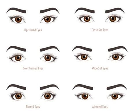 Eye Shapes and Appropriate Colours - Makeup Fundamentals | Manicare