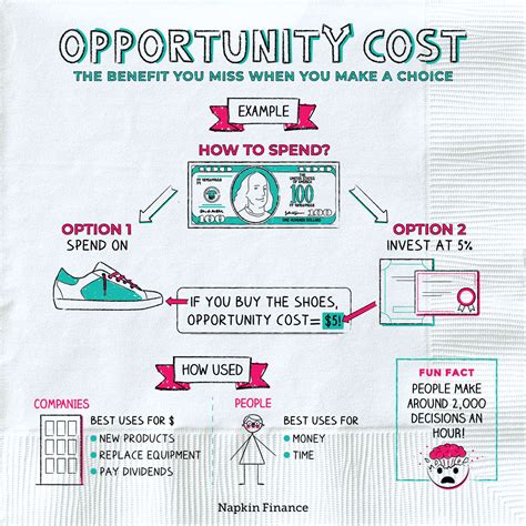 5 Examples of calculate opportunity cost in Business Decisions - TheBooMoney