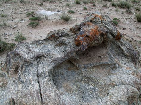 File:Wind erosion.jpg - Wikimedia Commons