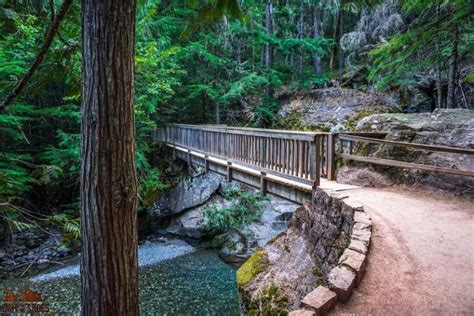 5 Best Short and Easy Hikes in Glacier National Park