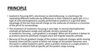 Isoelectric focusing electrophoresis- Principle , procedure and applications | PPT