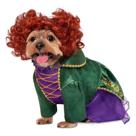 The Best Halloween Costumes for Dogs in 2022