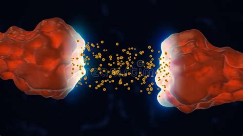 Neuronal and Synaptic Activity Medical Animation Stock Illustration ...