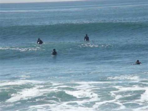 Surfing at Windansea Beach San Diego - YouTube