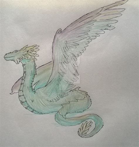 Dragonology: Amphithere by NorthWyrm on DeviantArt | Sketches, Humanoid sketch, Art