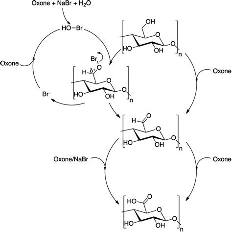 Favored surface-limited oxidation of cellulose with Oxone® in water - RSC Advances (RSC ...