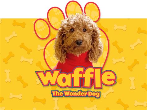 Waffle the Wonder Dog – Character.com