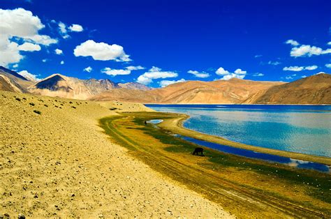 Pangong Tso: The Enchanted Lake Between India and Tibet